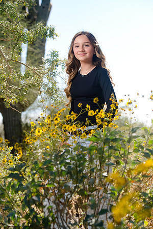 238-Christian&CarlyEngagement-74105351