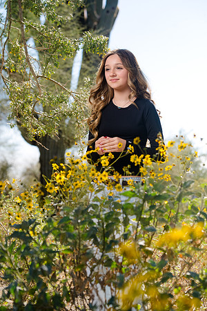 245-Christian&CarlyEngagement-74105360