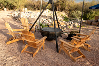 7-LoewsDecorFeb24-5223