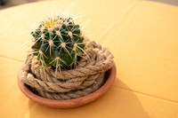 8-March1-Decor-1517