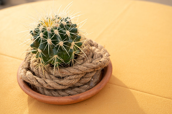 8-March1-Decor-1517