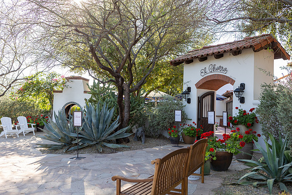 83-March3-Decor-ElCharro-9687