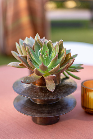 10-Decor-Mar16-1238