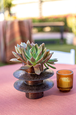 11-Decor-Mar16-1239