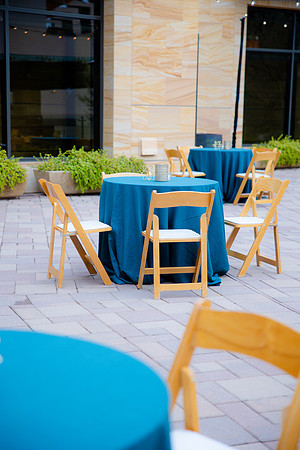 phoenician-dec4-24