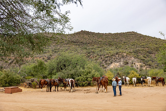 10-Canyon Creek-15903