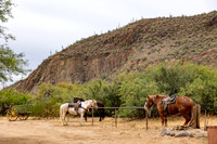 11-Canyon Creek-15904