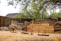 18-Canyon Creek-15912