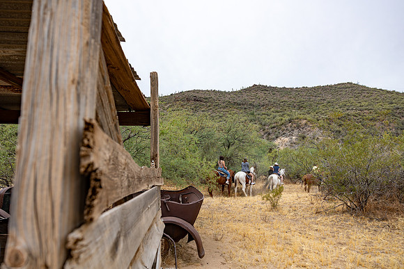 53-Canyon Creek-15967
