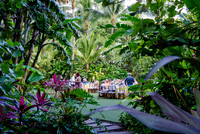 005-Bahamas-209832