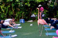 005-Bahamas-201249