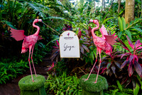001-Bahamas-201241