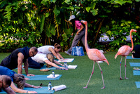 006-Bahamas-201250