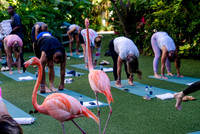 018-Bahamas-201281