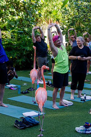 020-Bahamas-201287