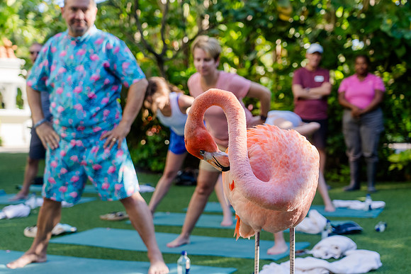 041-Bahamas-201356