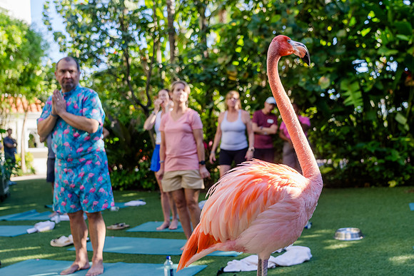 049-Bahamas-201381
