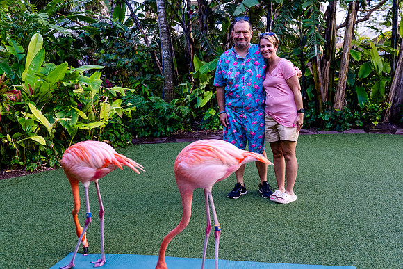 076-Bahamas-201465