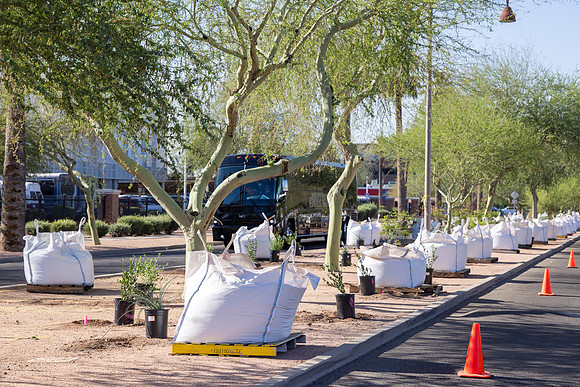 73-HomeDepot-AZVetHome-6724