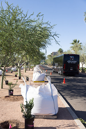 75-HomeDepot-AZVetHome-6727