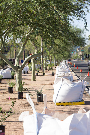 76-HomeDepot-AZVetHome-6728
