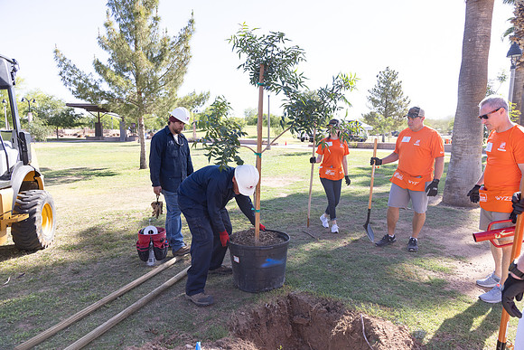 224-HomeDepot-AZVetHome-6965