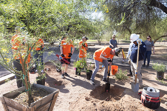 241-HomeDepot-AZVetHome-6990