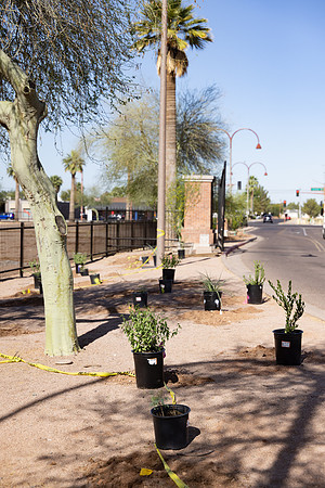 245-HomeDepot-AZVetHome-6998