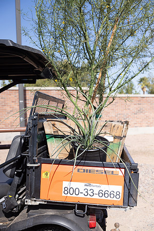 248-HomeDepot-AZVetHome-7001