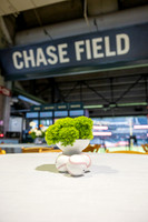 14-HomeDepot-ChaseField-20491
