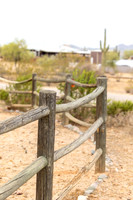 12-CattleDrive-May4-60189