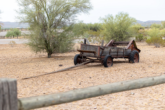 11-CattleDrive-May4-60187