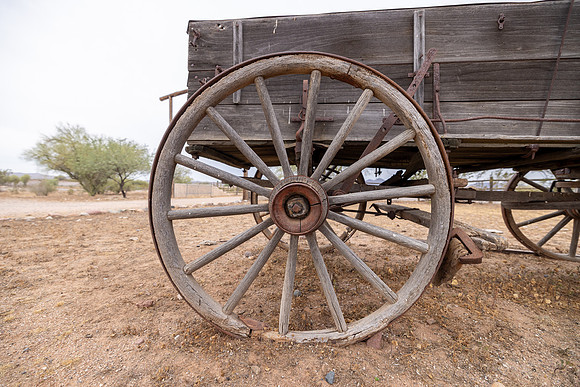 13-CattleDrive-May4-55035