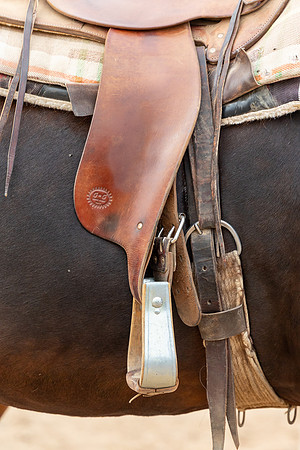 19-CattleDrive-May4-60198