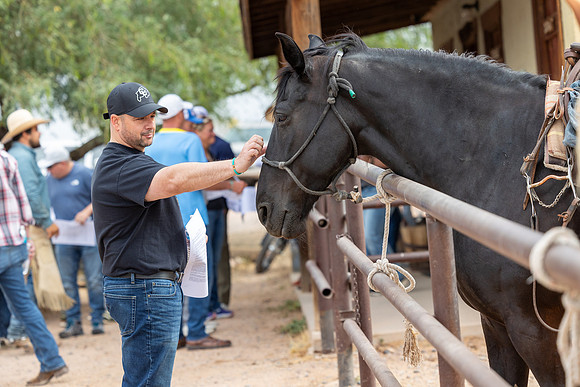 22-CattleDrive-May4-60201