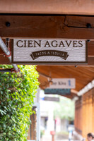3-CienAgaves-May4-60477