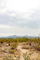 1-Hike-May4-2354