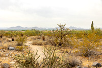 2-Hike-May4-2355