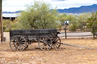 4-CattleDrive-May5-60597
