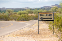 9-CattleDrive-May5-60600