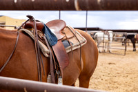 14-CattleDrive-May5-55154