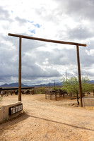 13-CattleDrive-May5-55153