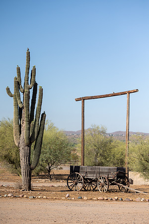3-CattleDrive-May6-60996