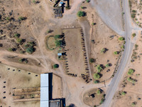 5-CattleDrive-May6-