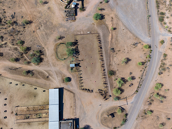 5-CattleDrive-May6-