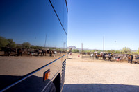 9-CattleDrive-May6-55404