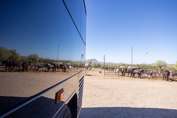 9-CattleDrive-May6-55404