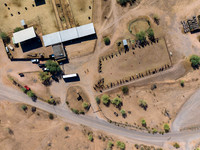 6-CattleDrive-May6-
