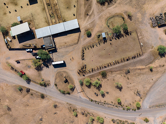 6-CattleDrive-May6-