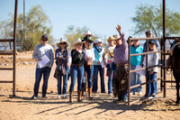 15-CattleDrive-May6-61007